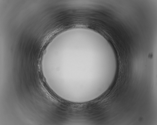 X0000115190725200912091110