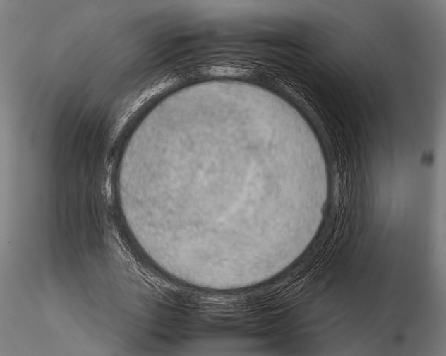 X0000115190727200912091110