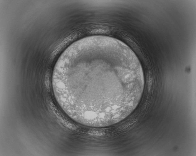 X0000115190729200912091110