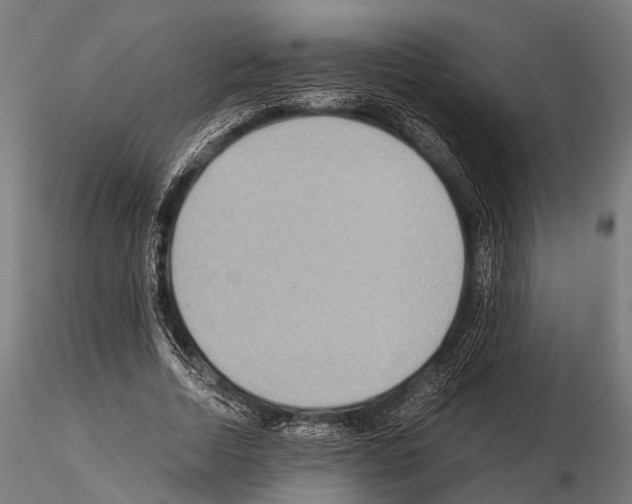 X0000115190730200912091110