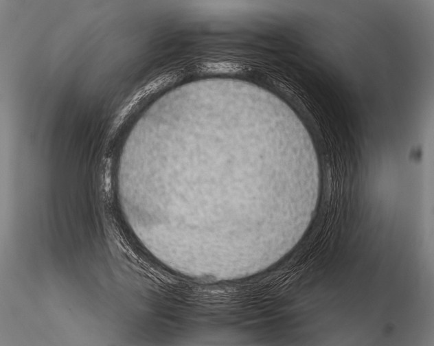 X0000115190731200912091110