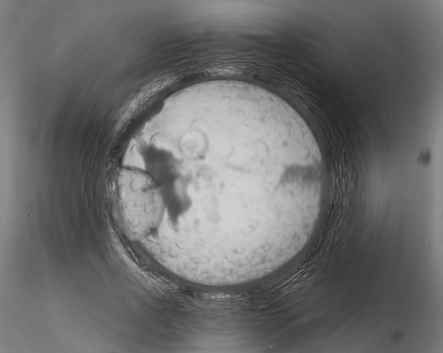 X0000115190734200912091110