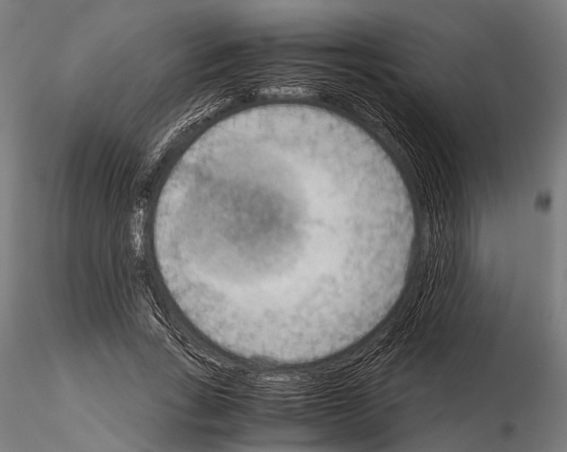 X0000115190735200912091110