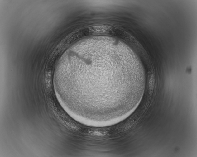 X0000115190737200912091110