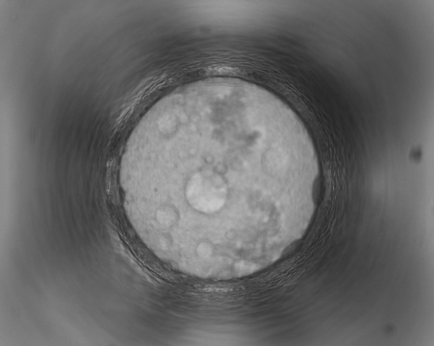 X0000115190738200912091110