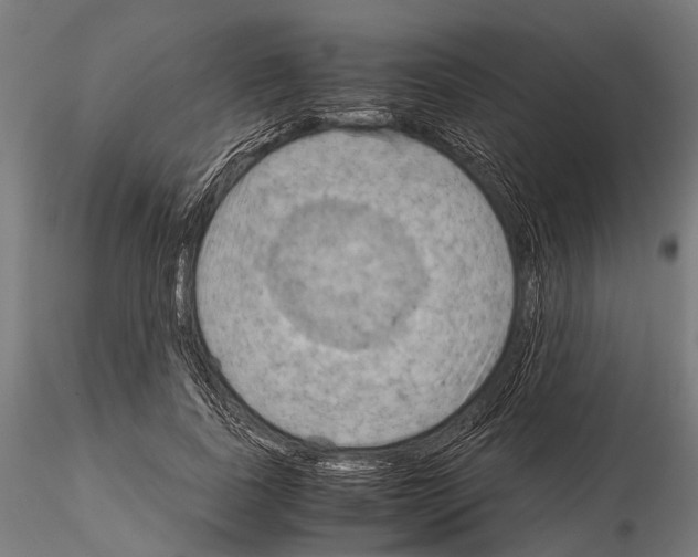 X0000115190739200912091110