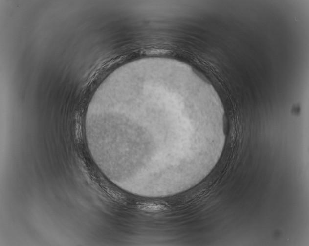 X0000115190743200912091110