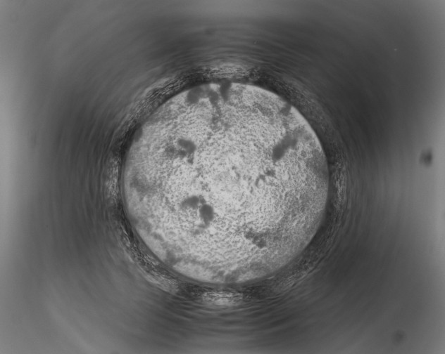 X0000115190745200912091110