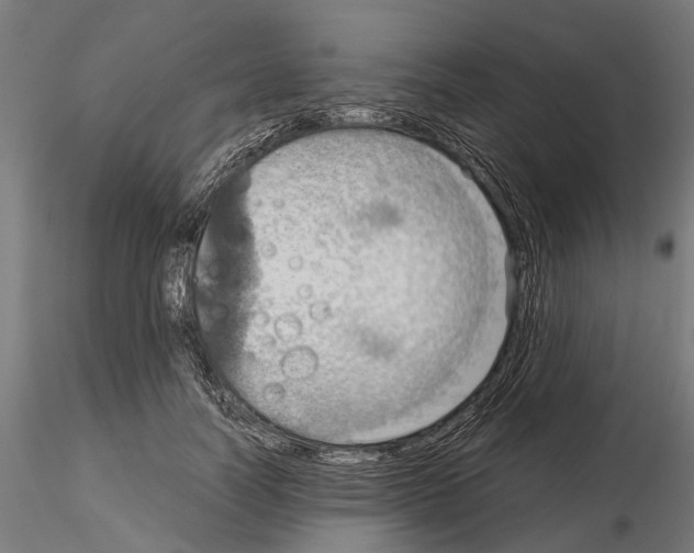 X0000115190746200912091110