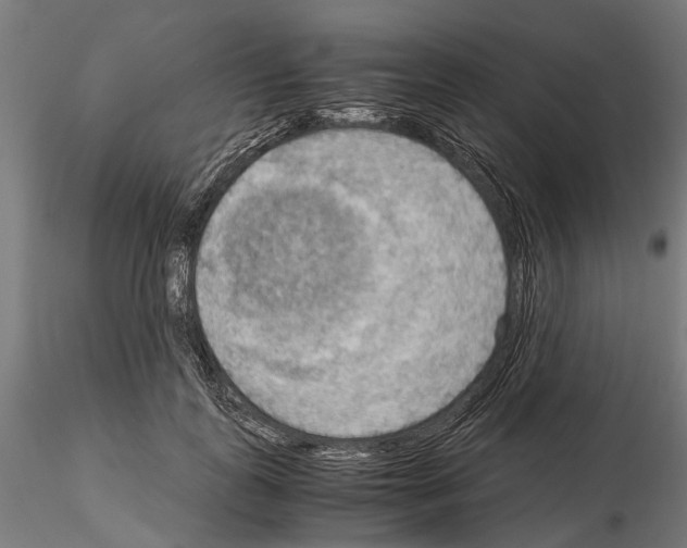 X0000115190747200912091110