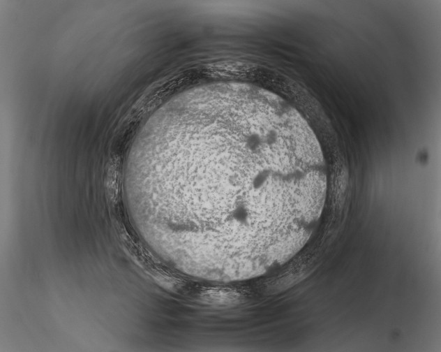 X0000115190749200912091110