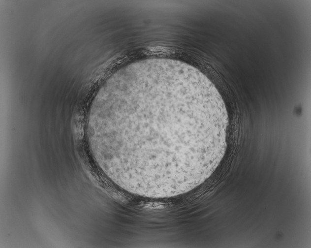 X0000115190751200912091110