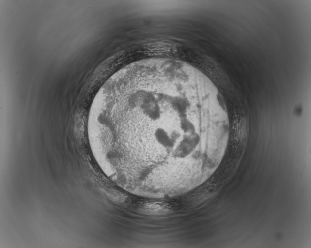 X0000115190753200912091110