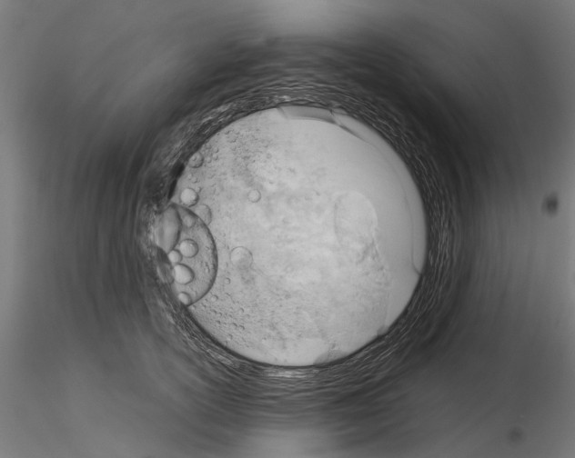 X0000115190754200912091110