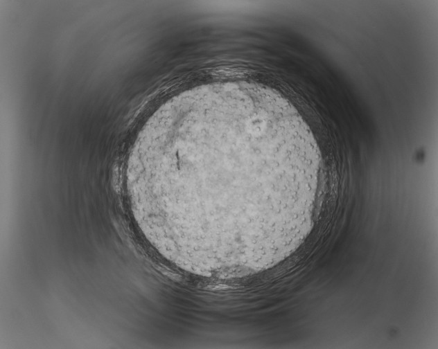 X0000115190755200912091110