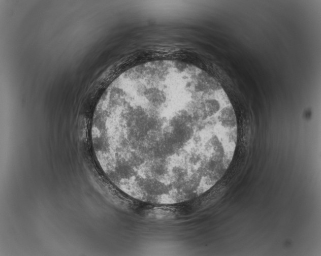 X0000115190758200912091110