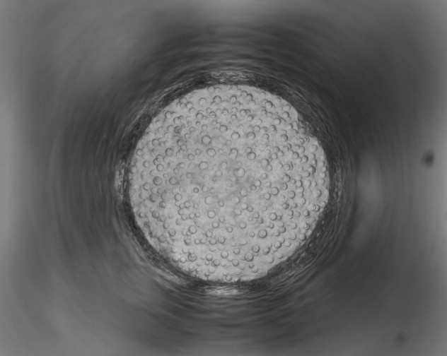 X0000115190759200912091110