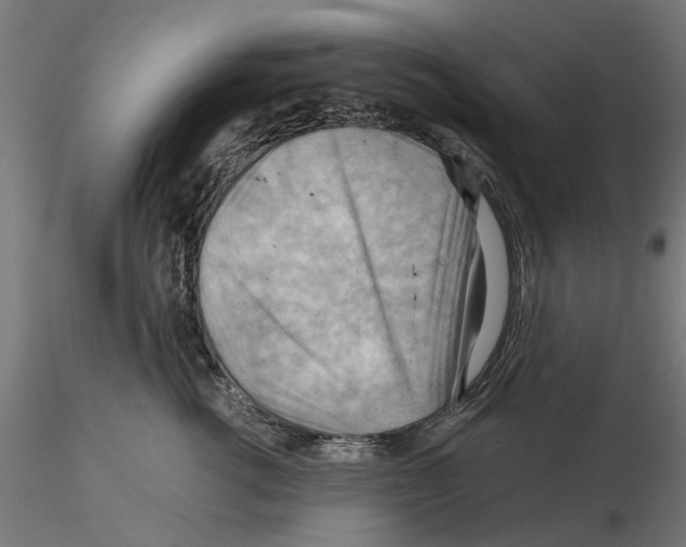 X0000115190762200912091110