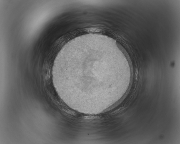 X0000115190763200912091110