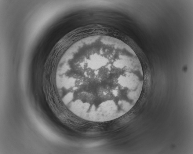 X0000115190765200912091110