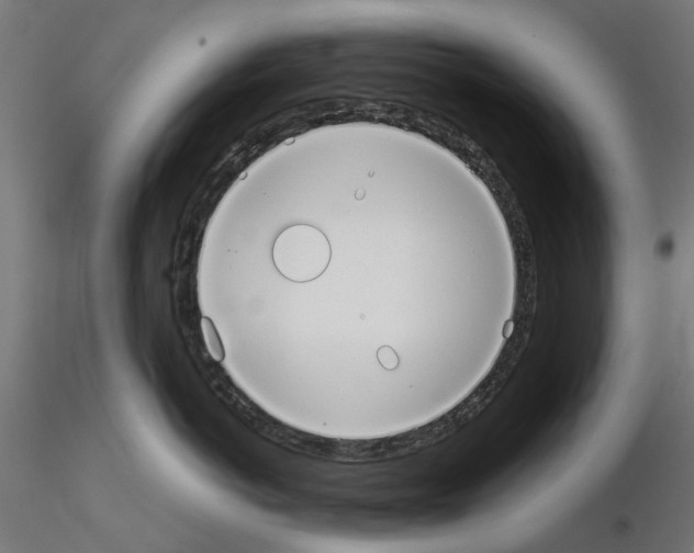 X0000115190766200912091110