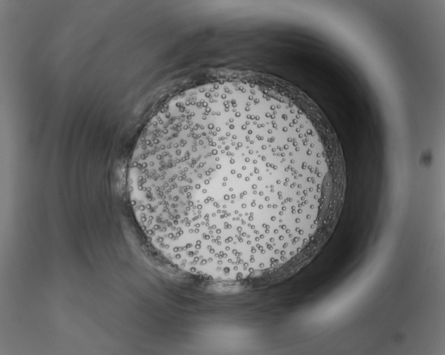 X0000115190767200912091110