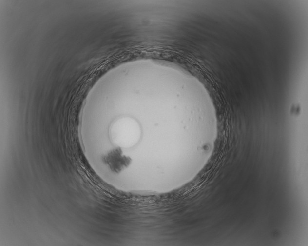 X0000115190769200912091110