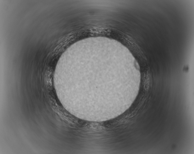 X0000115190770200912091110