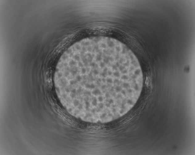 X0000115190771200912091110