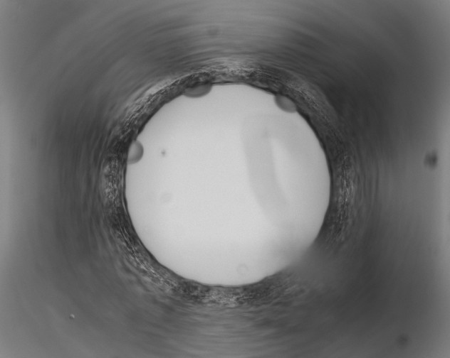 X0000115190773200912091110