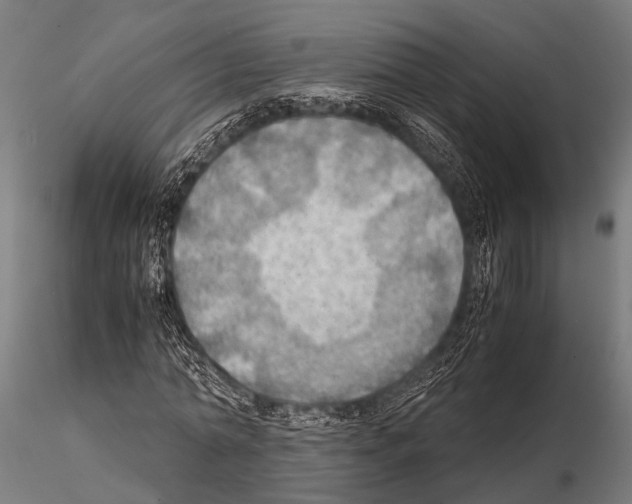 X0000115190774200912091110