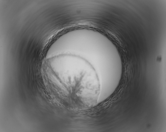 X0000115190776200912091109