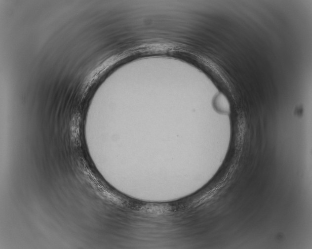 X0000115190778200912091109