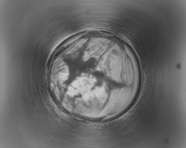 X0000115190779200912091109