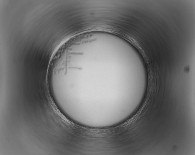 X0000115190780200912091109