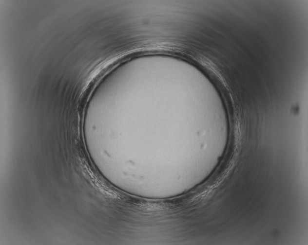 X0000115190781200912091109