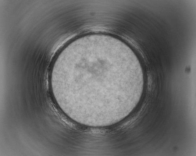 X0000115190782200912091109