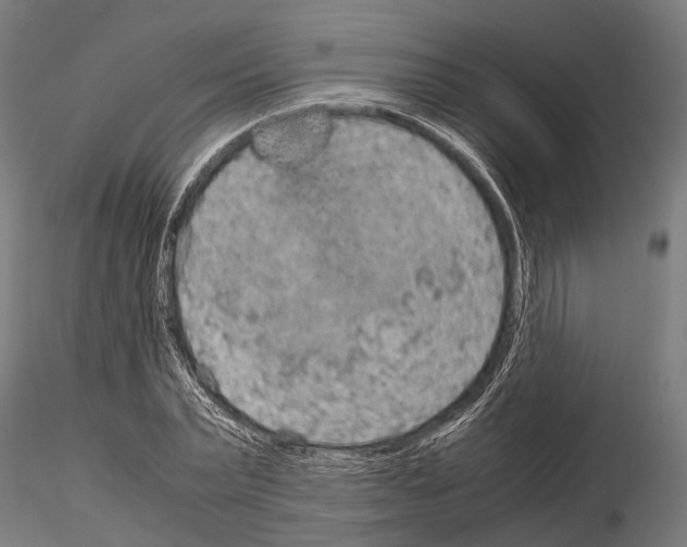 X0000115190783200912091109