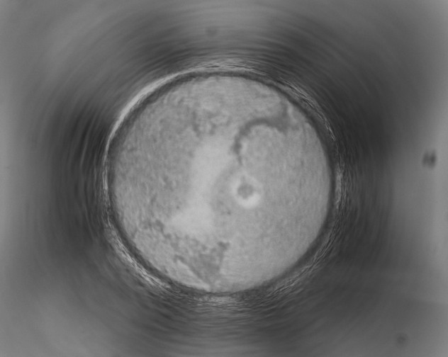 X0000115190784200912091109