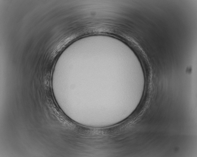 X0000115190785200912091109