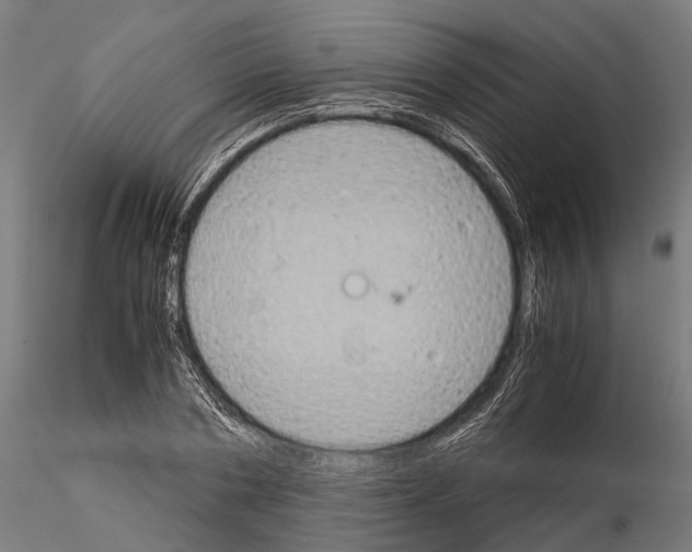 X0000115190786200912091109