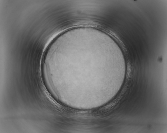 X0000115190788200912091109