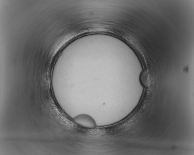 X0000115190789200912091109