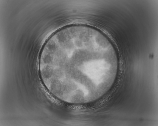 X0000115190791200912091109