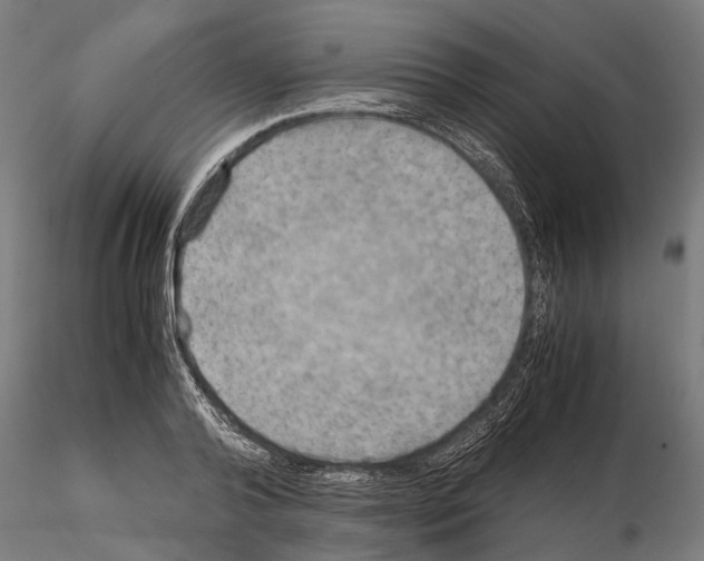 X0000115190792200912091109