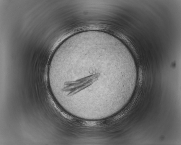 X0000115190794200912091109