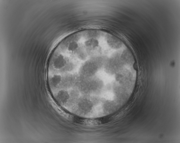 X0000115190795200912091109