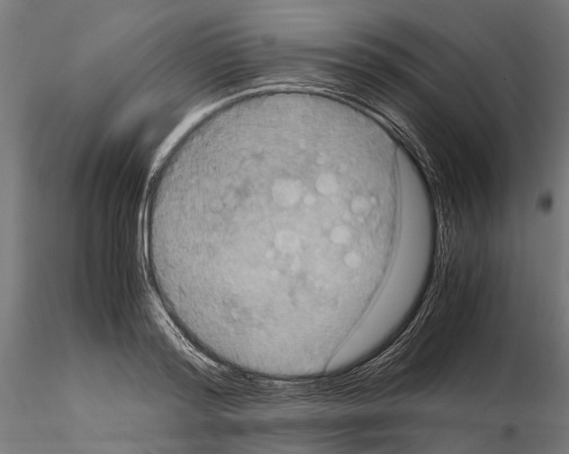 X0000115190796200912091109