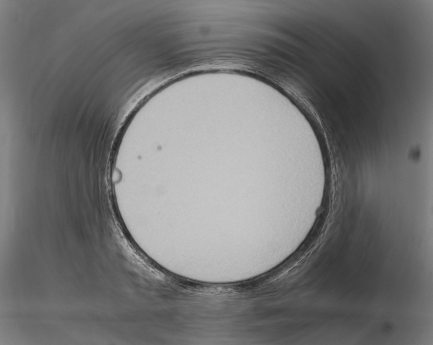 X0000115190797200912091109