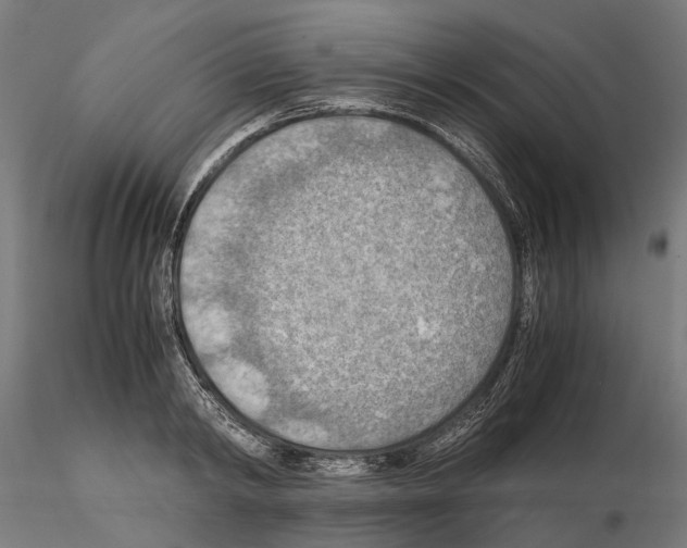 X0000115190798200912091109